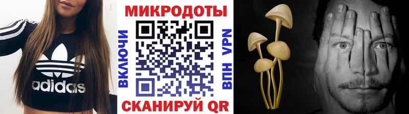 Галлюциногенные грибы Psilocybe  Купить  Ядрин 